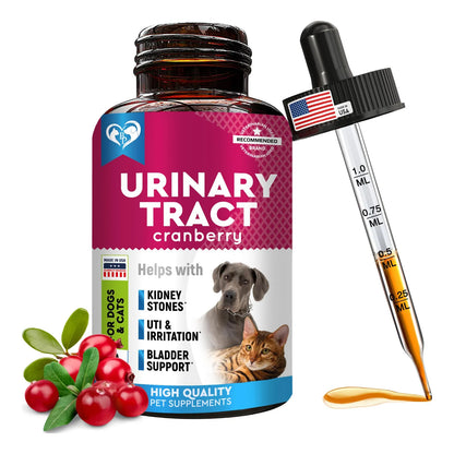 Tratamiento Natural Infecciones Urinarias Gatos Y Perros Arándano Y Soporte Renal