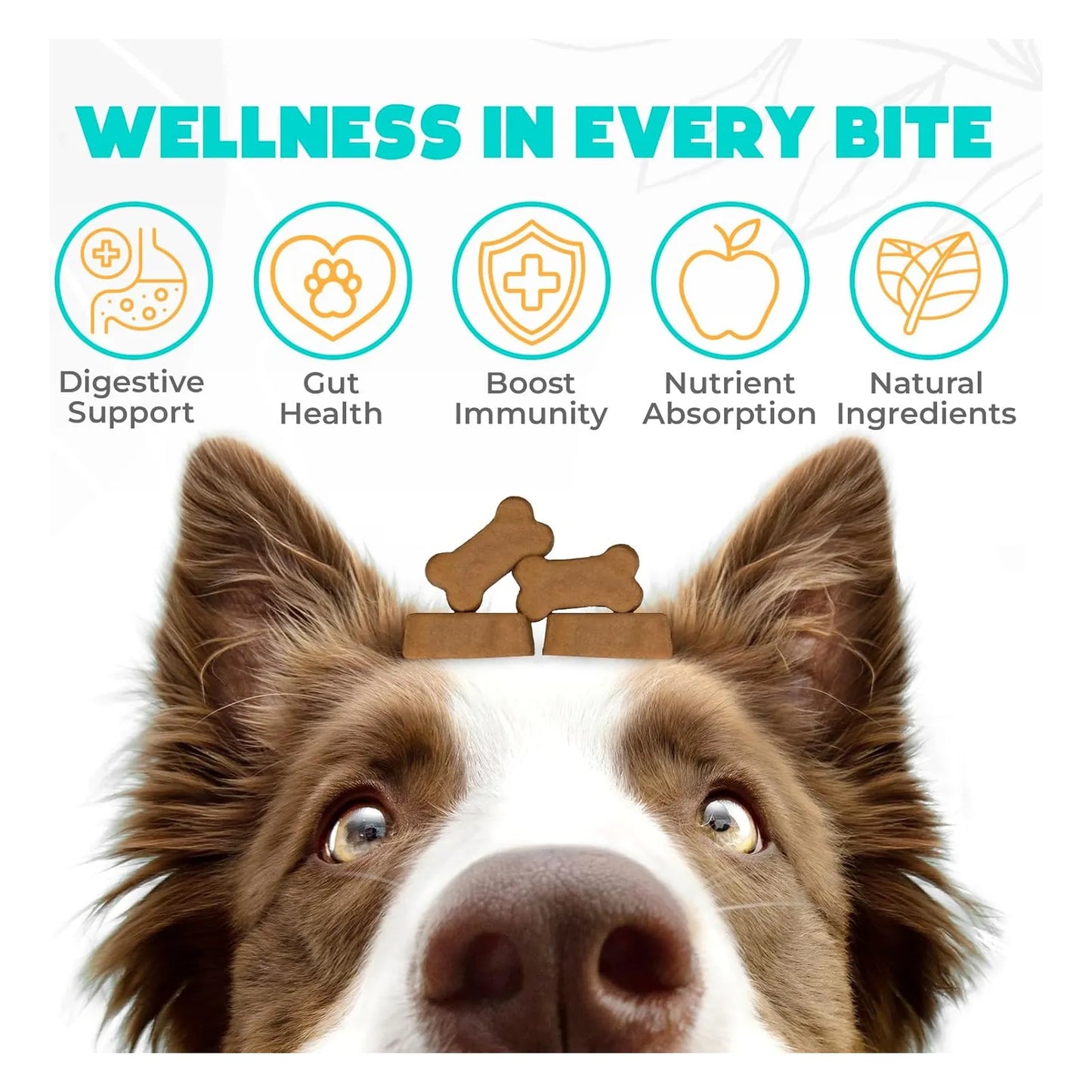 Probióticos Masticables Para Perros 150 Unidades Salud Digestiva E Inmunidad