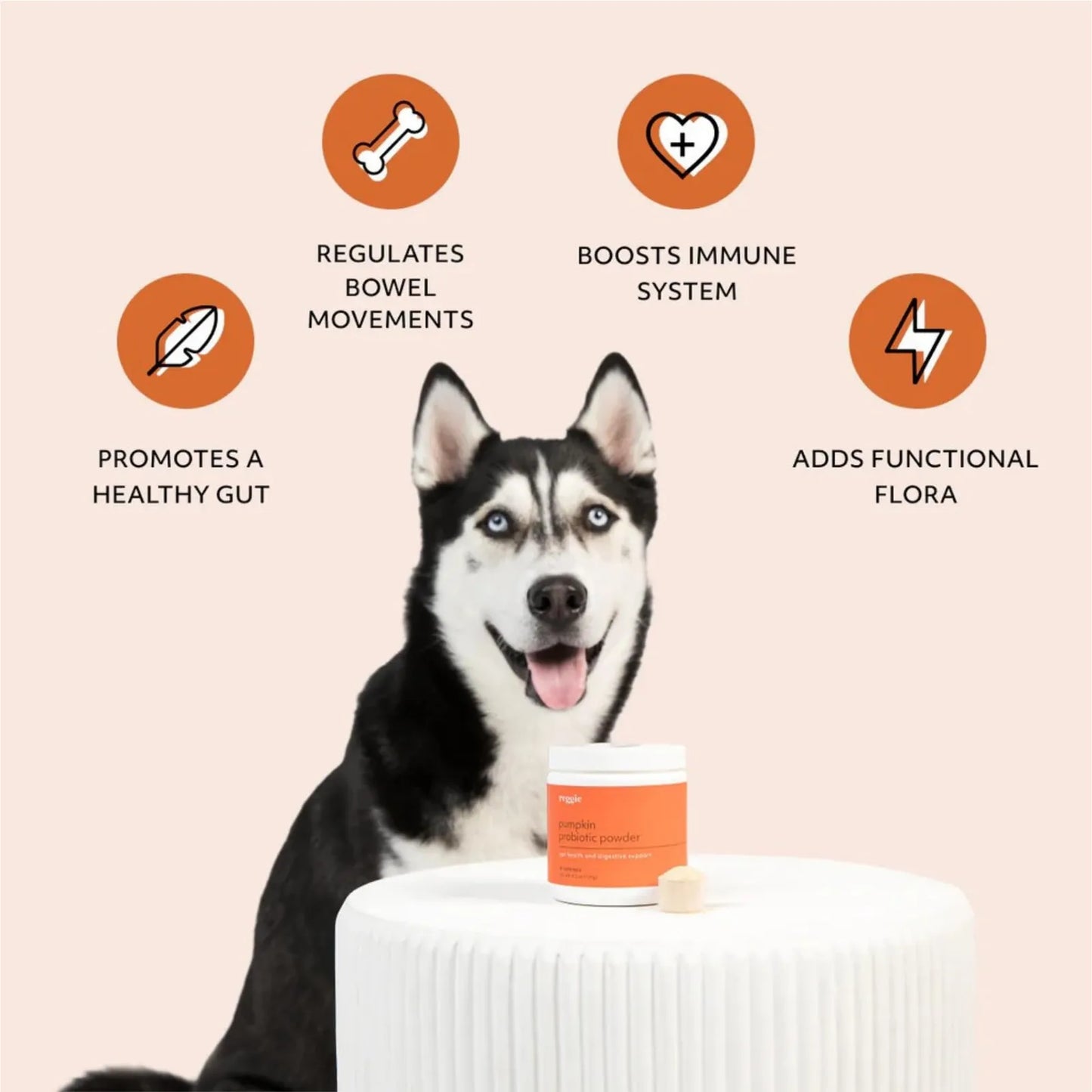 Polvo Probiótico De Calabaza Para Perros Apoyo Intestinal Saludable Digestión EE UU