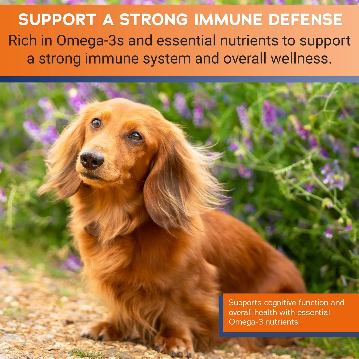 Golosinas Masticables Omega 3 Para Perros Pequeños Con Aceite De Pescado 60 Unidades
