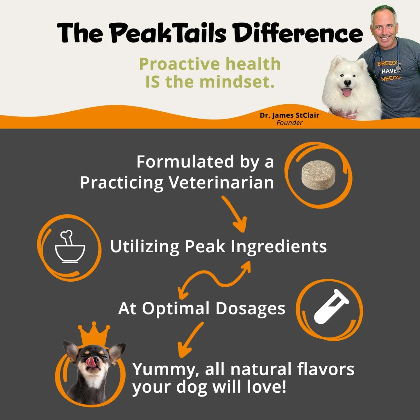 PeakTails Dermatrix 90 Tabletas Piel Sana Y Pelaje Brillante Para Perros