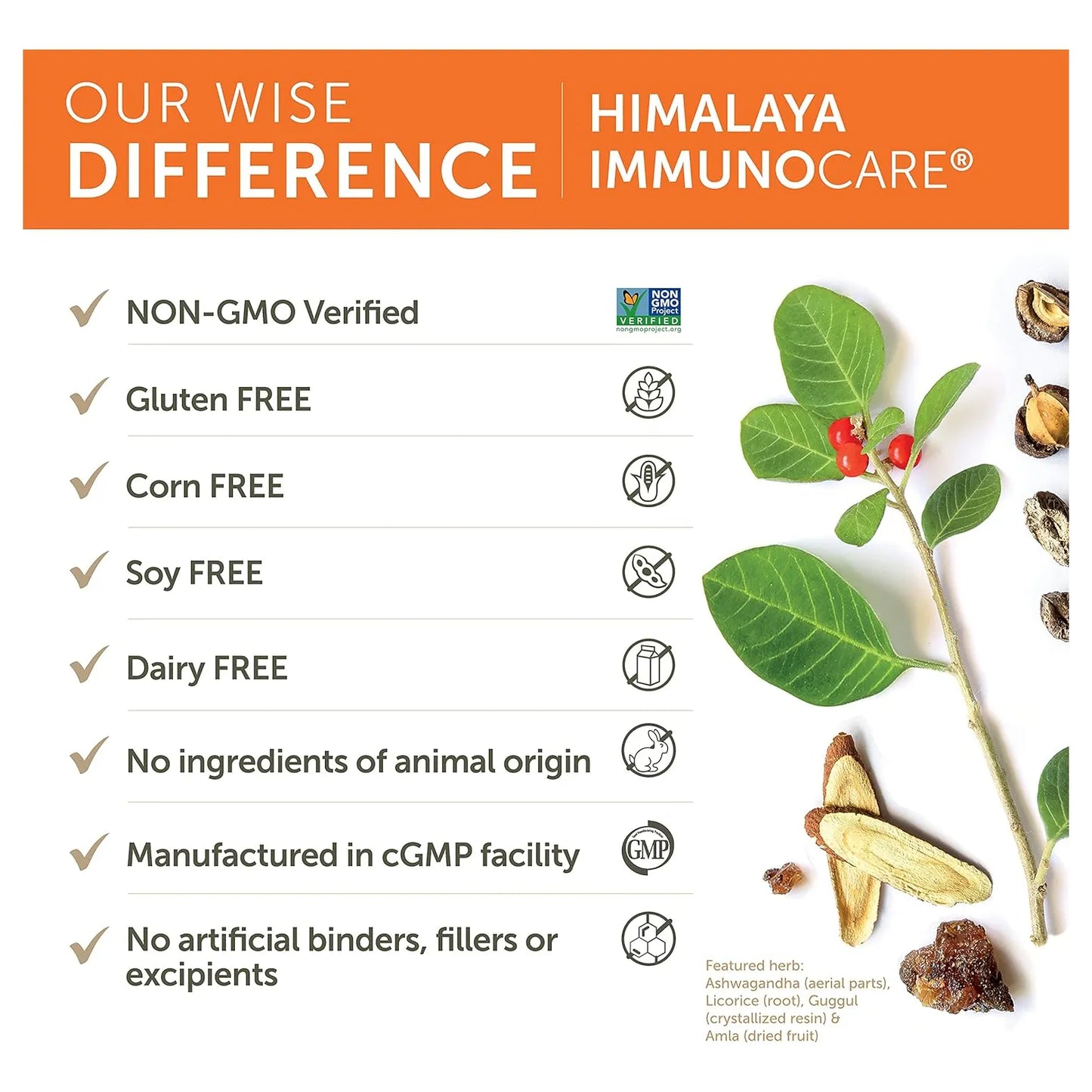 Cápsulas Himalaya Immunocare 840 Mg Apoyo Inmunológico 120 Unidades