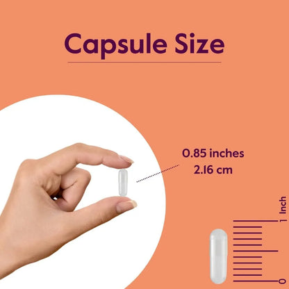 Bestvite L Proline 500mg 120 Capsulas Vegano Sin Gluten Colageno