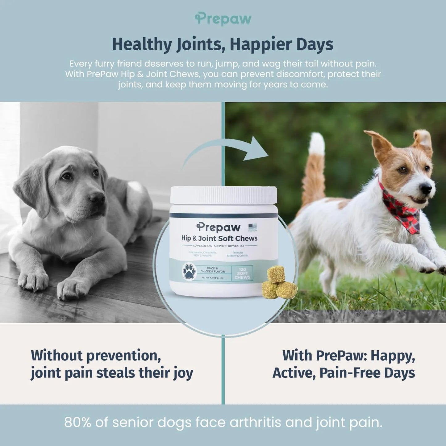 Soporte Articular Para Perros Con Glucosamina Condroitina MSM Alivia Dolor Artritis