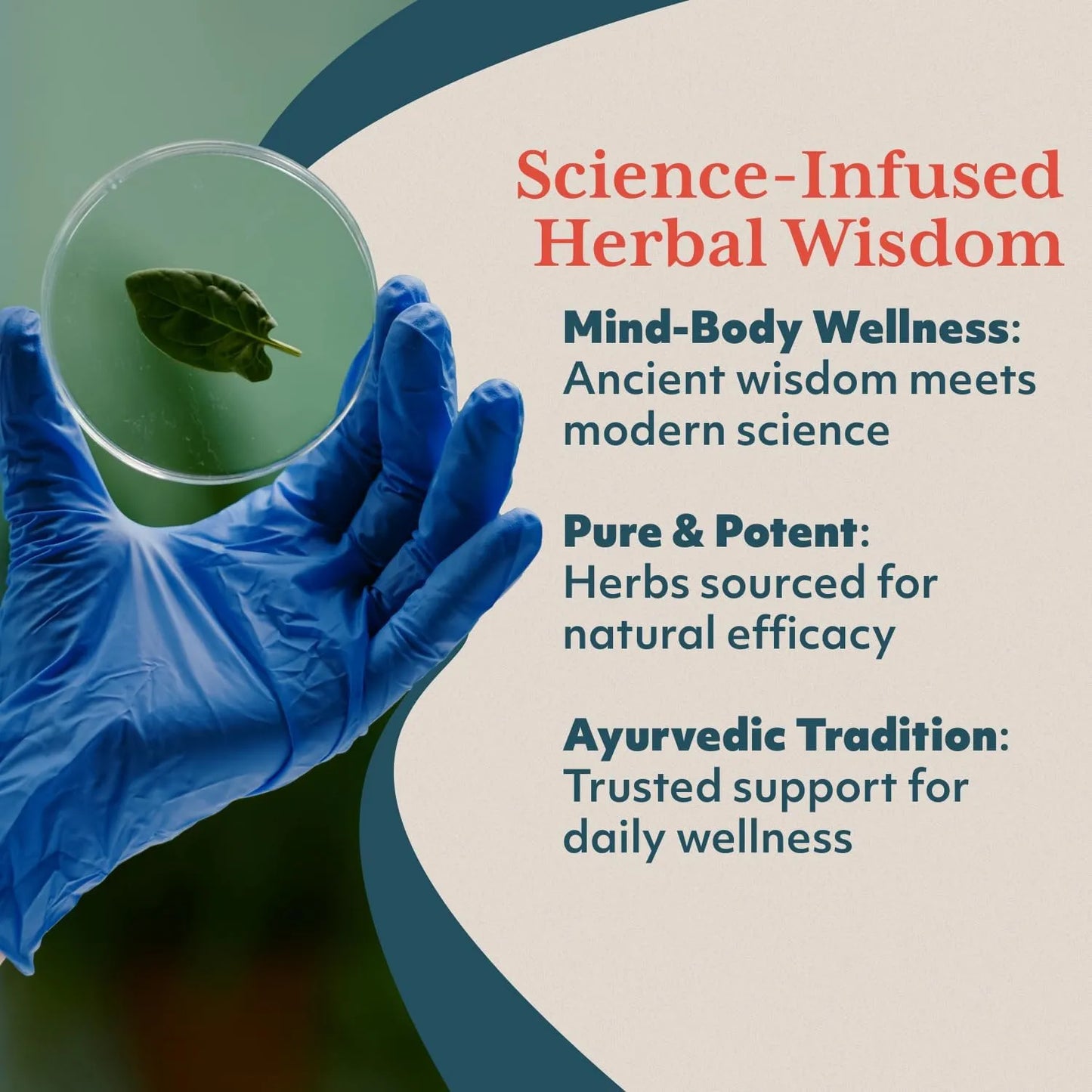 Capsulas De Hierbas Ayurvedicas Naturales Formuladas Por Medicos 30 Unidades