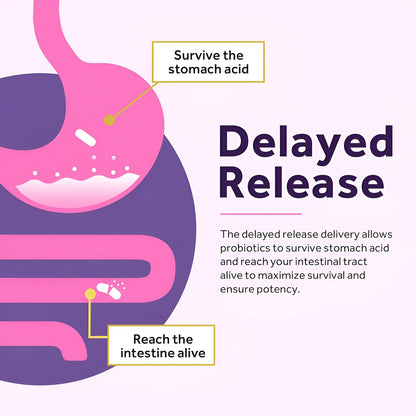 Probiótico Para Mujeres Doctor's Recipes 60 Cápsulas Salud Digestiva Y Vaginal - Imagen 9