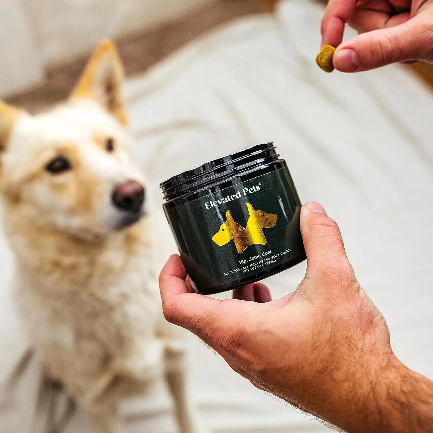 Golosinas Saludables Omega 3 Aceite De Pescado Para Perros Con Glucosamina Y Vitaminas