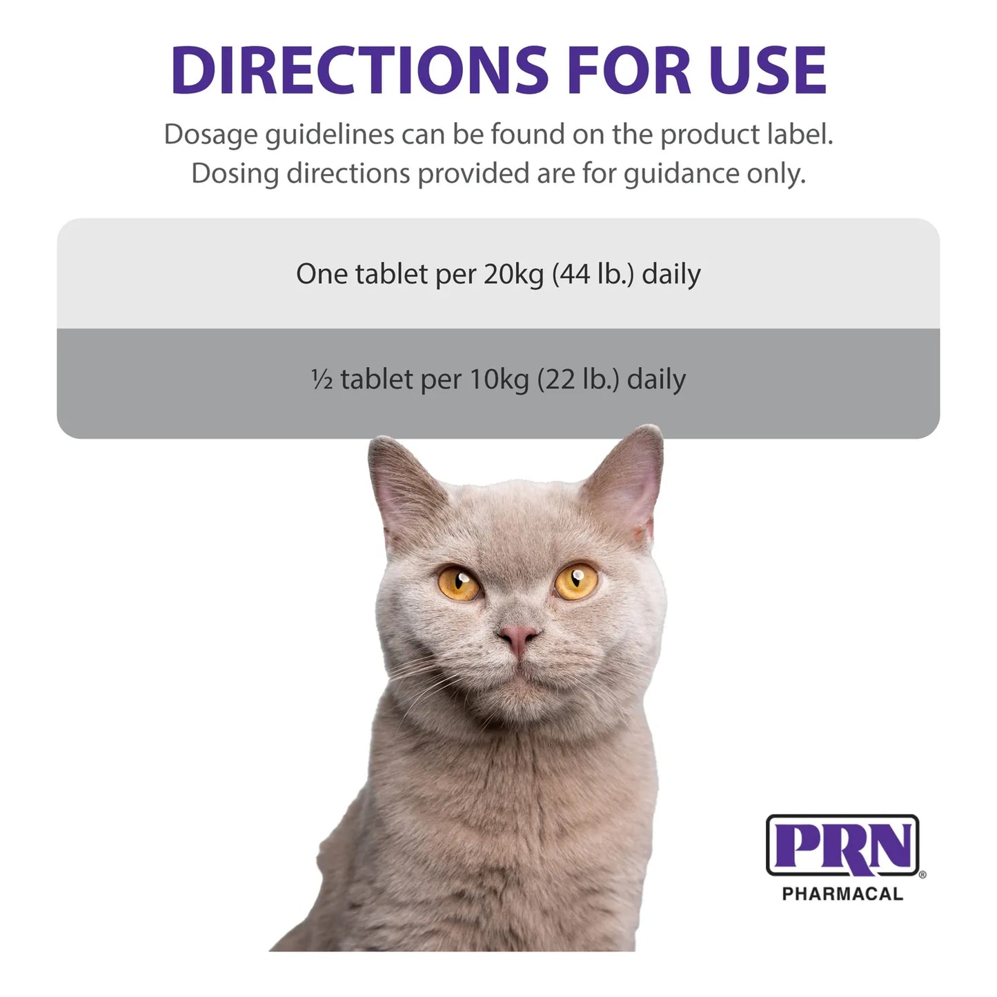 Suplemento Masticable De Arándano Para Perros Y Gatos Salud Urinaria 60 Tabletas