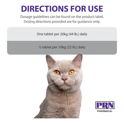 Suplemento Masticable De Arándano Para Perros Y Gatos Salud Urinaria 60 Tabletas