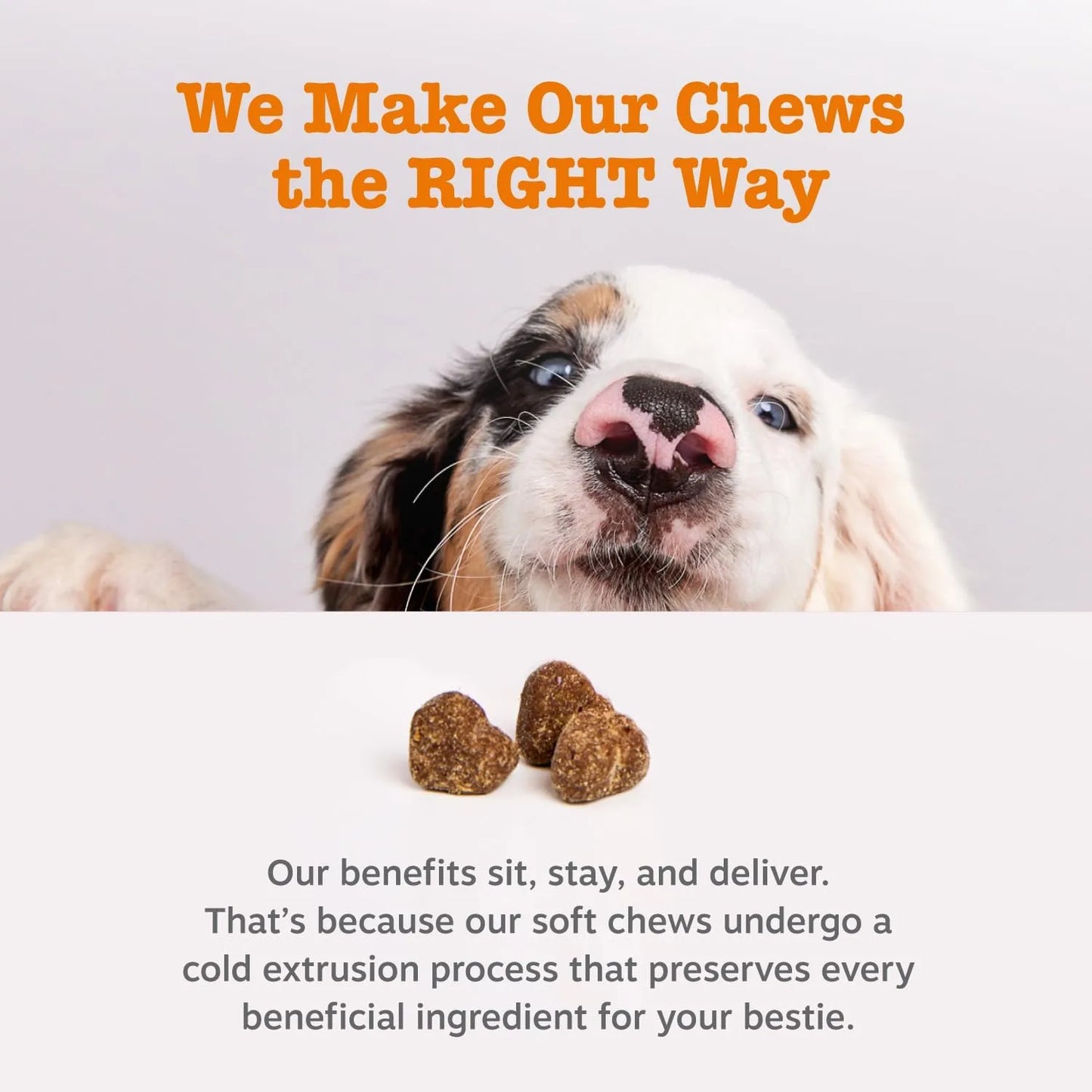 Masticables No Poo Para Perros Con Probióticos Detiene Coprofagia Salud Intestinal Y Dental