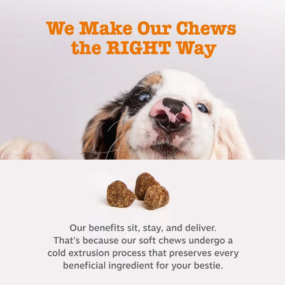 Masticables No Poo Para Perros Con Probióticos Detiene Coprofagia Salud Intestinal Y Dental