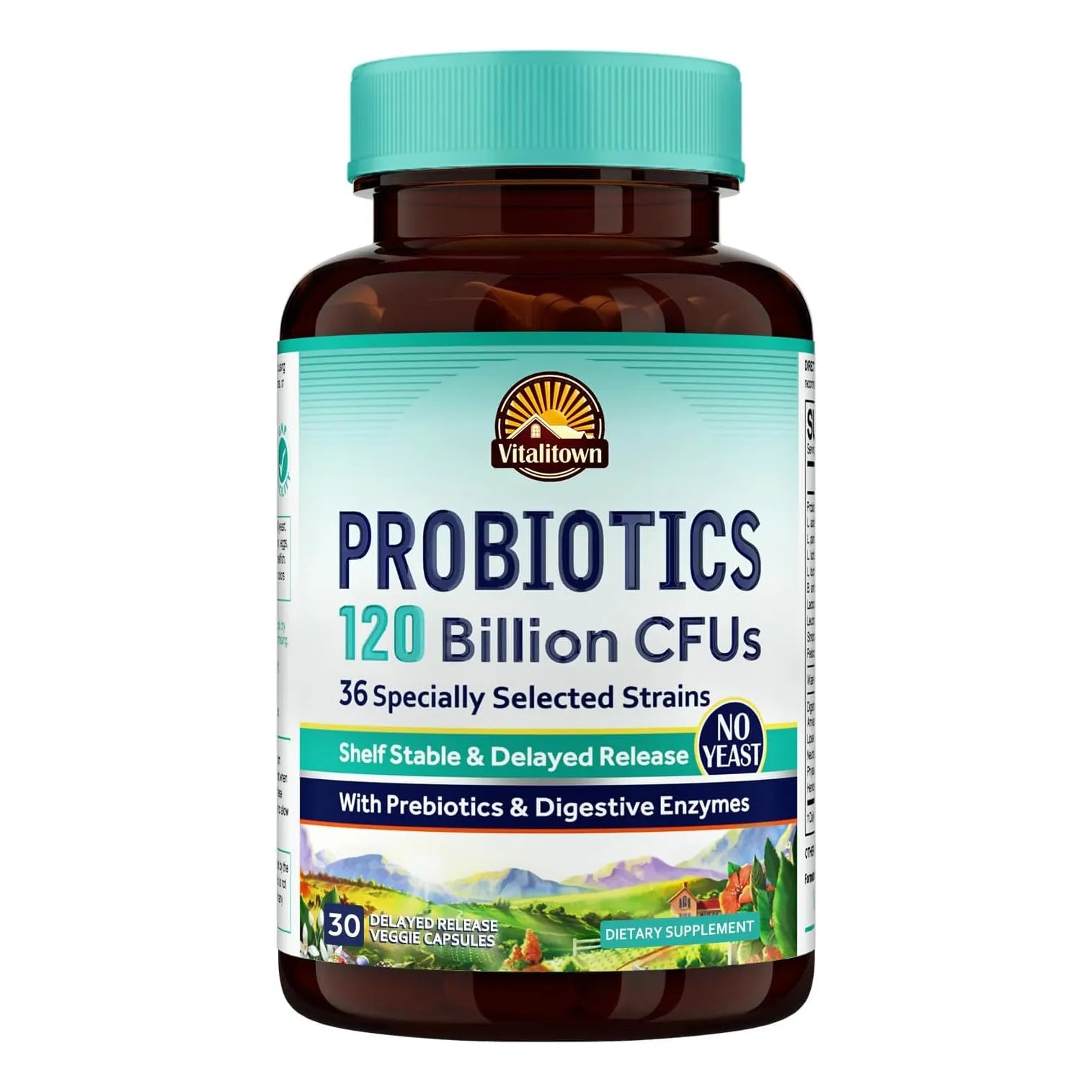 Probioticos 120 Billones + Prebioticos + Enzimas Digestivas 36 Cepas - Imagen 1