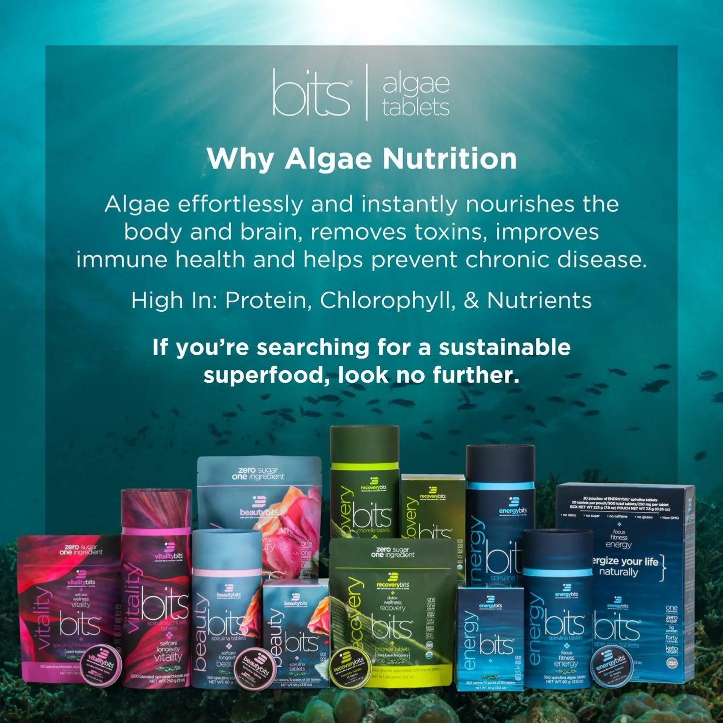 Tabletas Orgánicas De Chlorella RECOVERYbits Superalimento Vegano