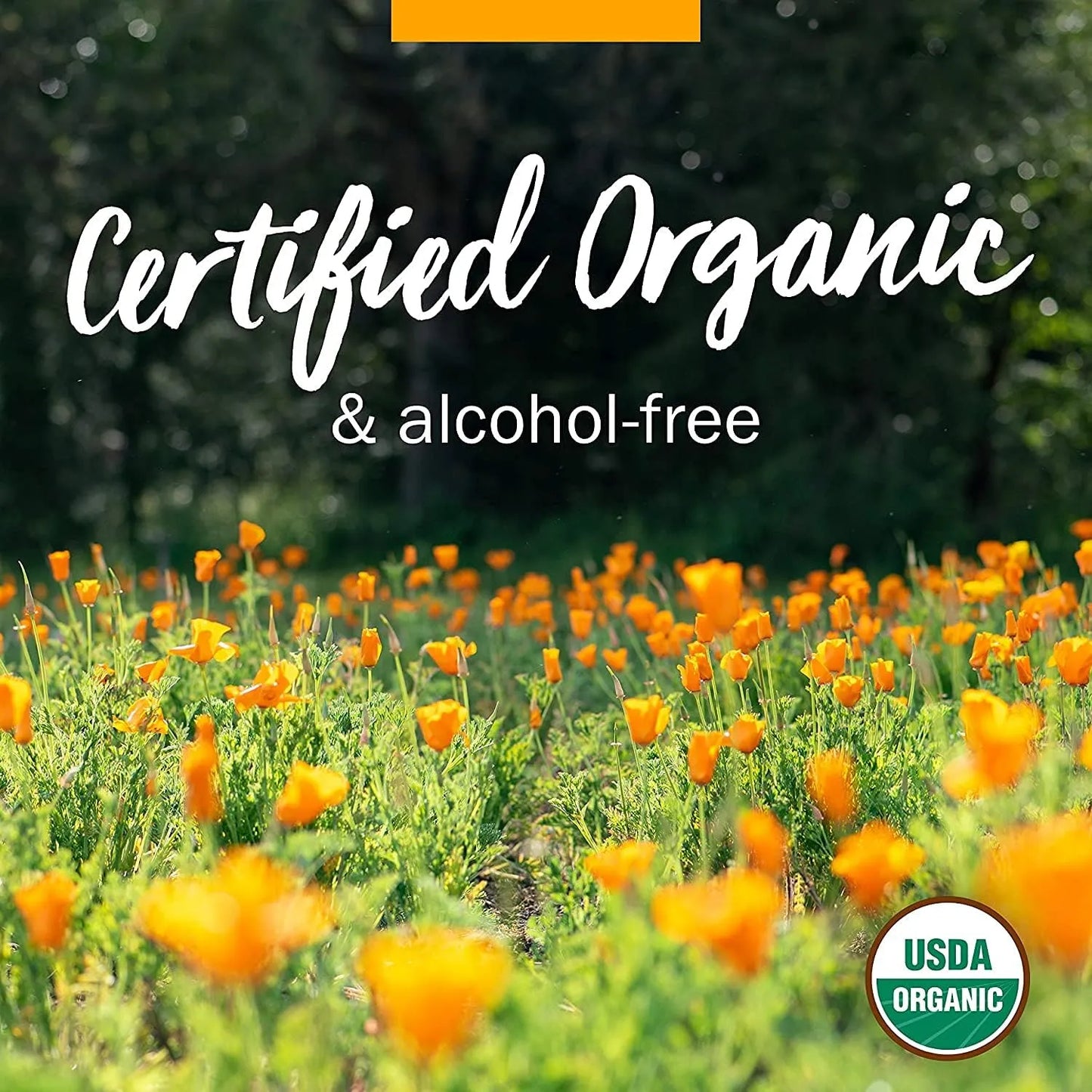 Extracto Liquido Glicerita Sauco Negro Organico Para Ninos 4 Onzas Sin Alcohol