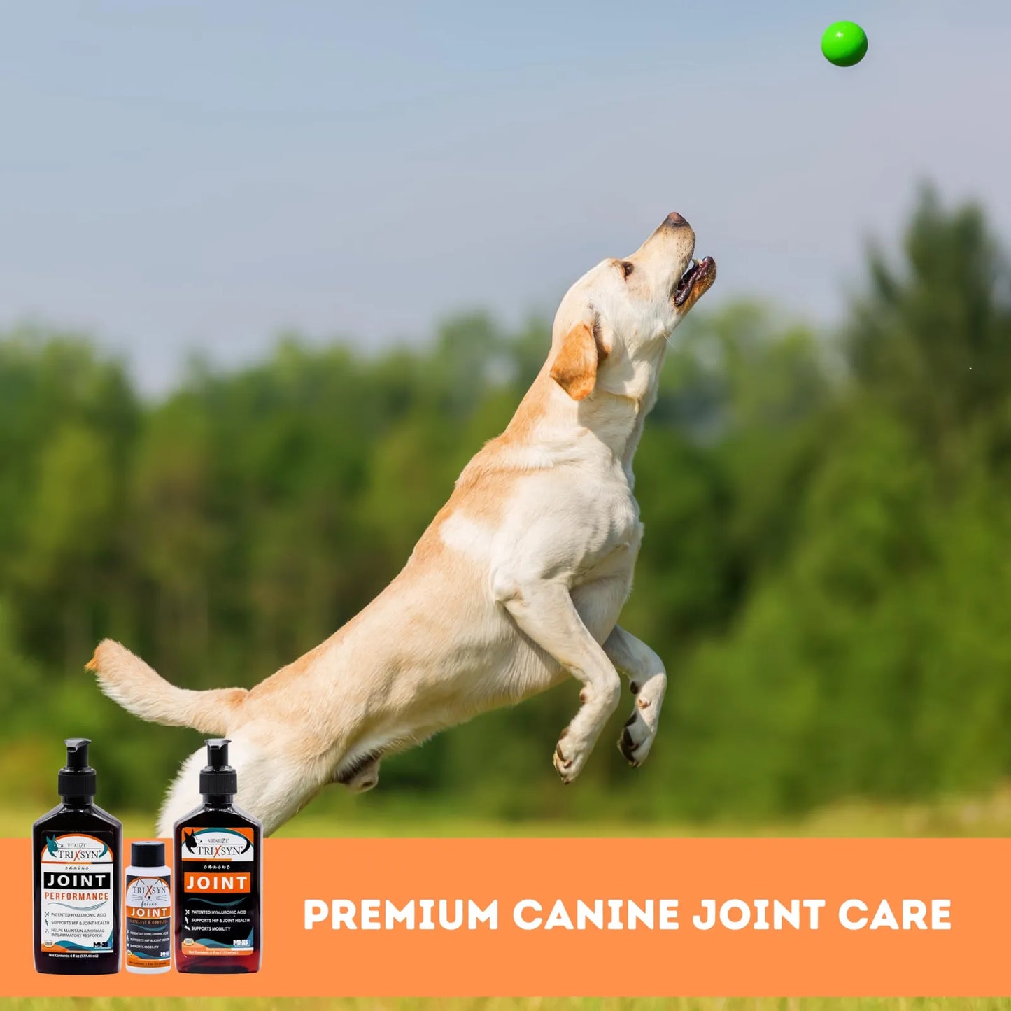 Suplemento Líquido Canine For Dogs Cuidado Articulaciones Ácido Hialurónico 12oz