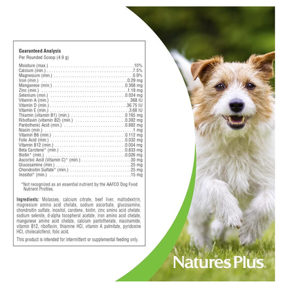 Multivitaminico Natural Para Perros NaturesPlus FurBaby 295g Salud Articulaciones Y Pelaje