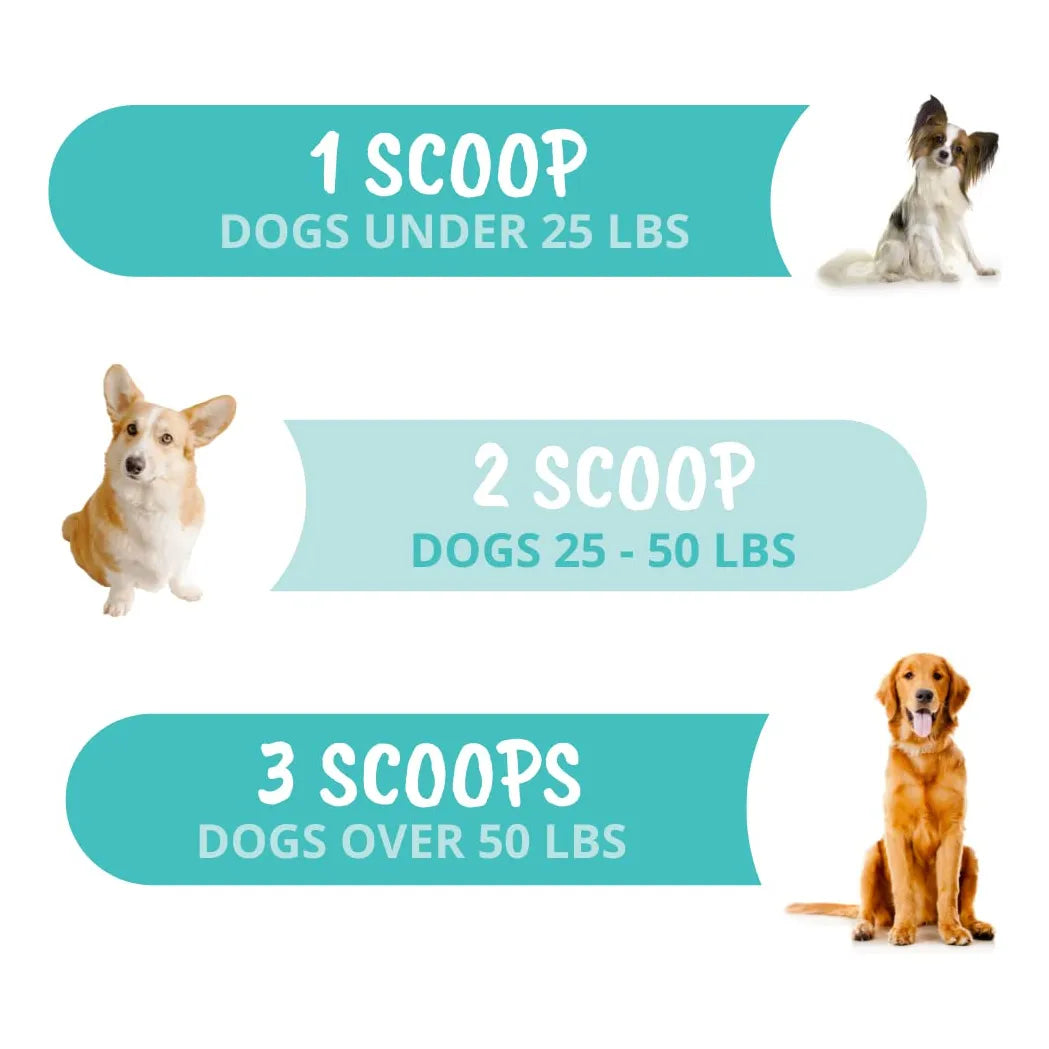 Polvo Probiótico Para Perros Formulado Por Veterinarios Digestión Saludable Y Sabor Pollo
