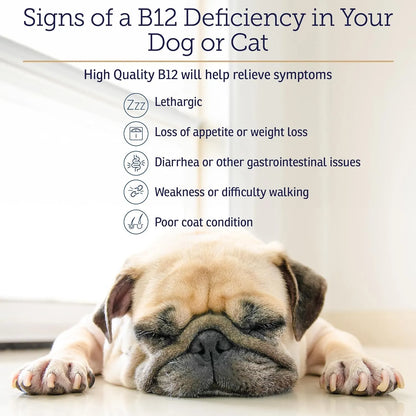 Vitamina B12 Para Perros Y Gatos Apoyo Digestivo Metabólico Y Nervioso