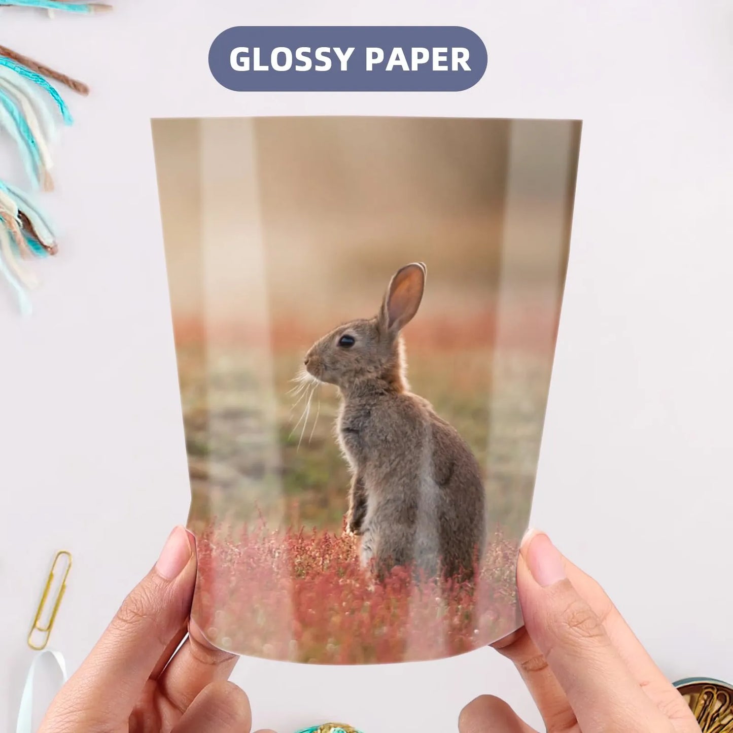 Papel Fotográfico Brillante 11x14 Pulgadas 50 Hojas 200 GSM Para Impresiones Profesionales