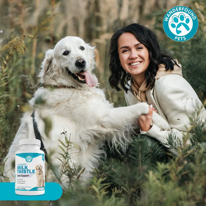 Tabletas Masticables Cardo Mariano Sabor Salmón Y Tocino Para Perros Salud Hepática 100 Unidades