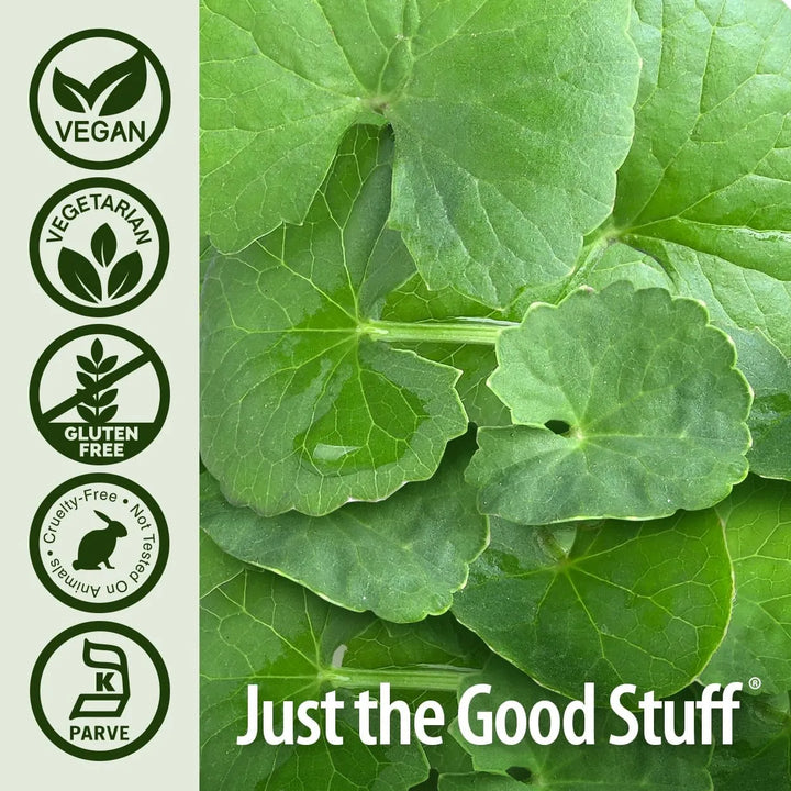 Cápsulas De Hierba Gotu Kola - Imagen 5