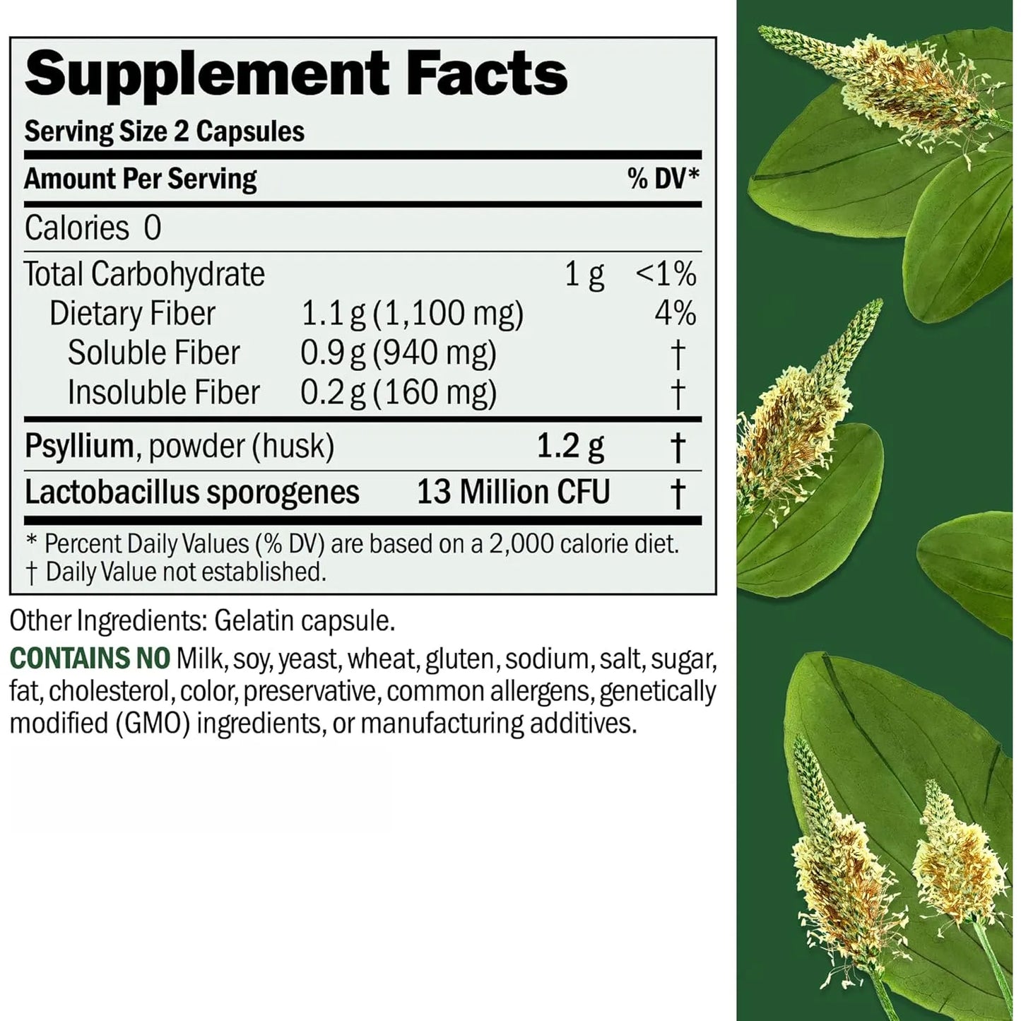 Fibermucil 180 Cápsulas Psyllium Puro Fibra Digestiva Probioticos