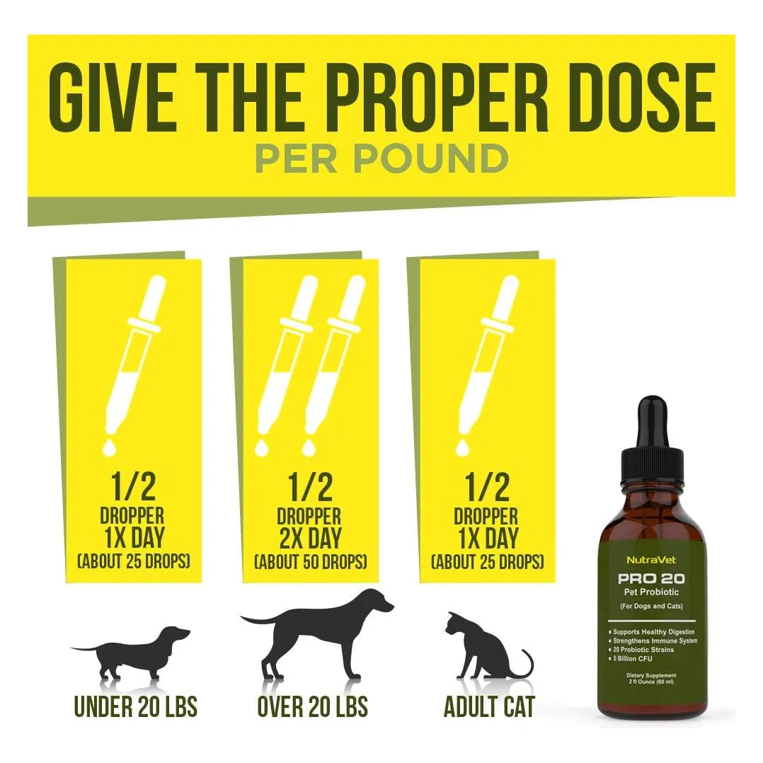 Probióticos Naturales Para Perros Y Gatos 120 Porciones Enzi Digestión Saludable