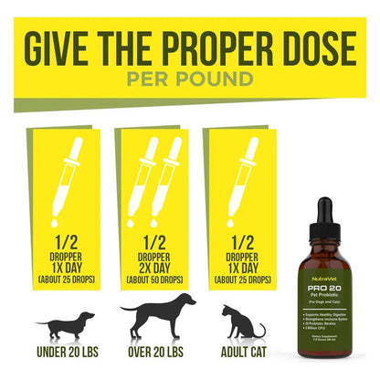 Probióticos Naturales Para Perros Y Gatos 120 Porciones Enzi Digestión Saludable