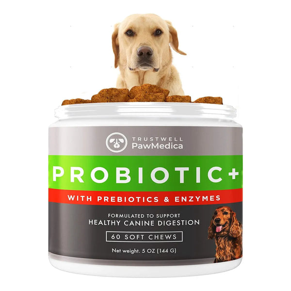 Probióticos Masticables Para Perros Con Enzimas Digestivas Mejora La Salud Intestinal Y Vitalidad