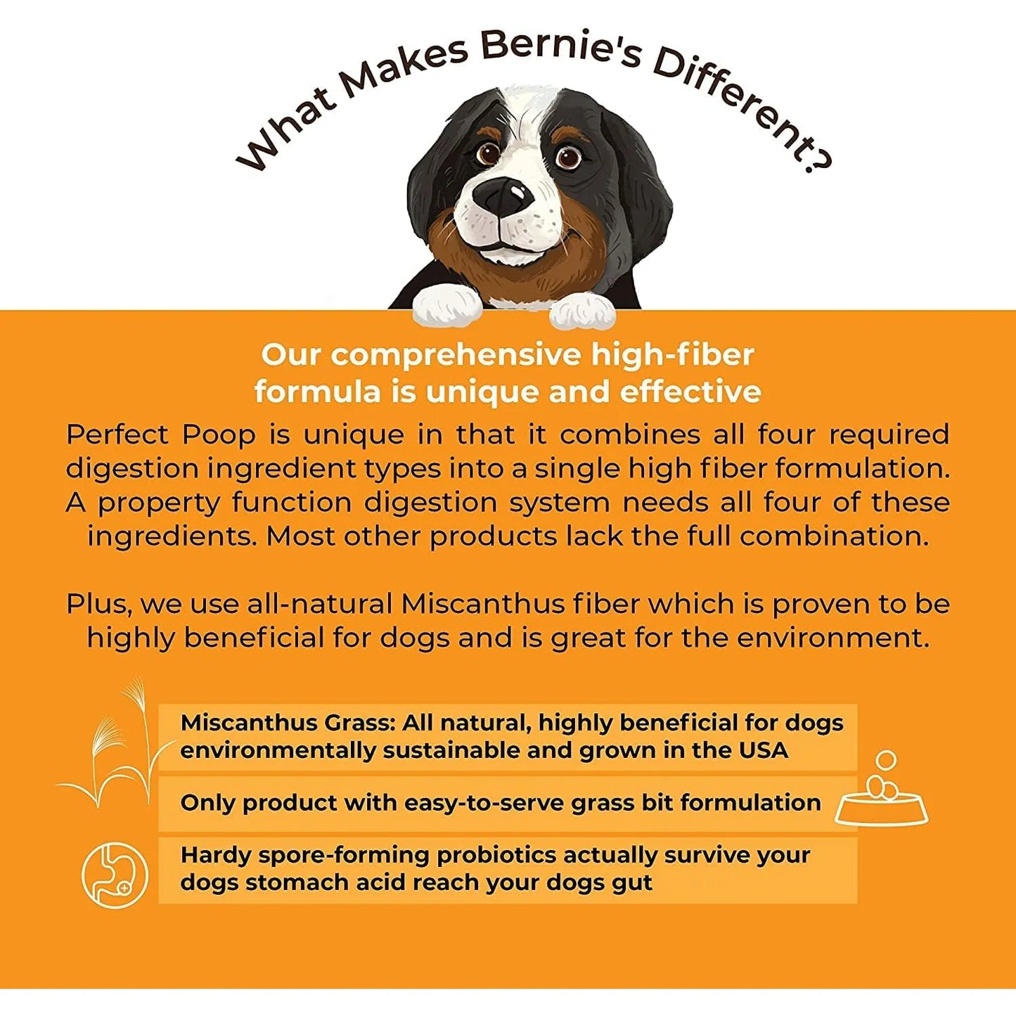 Suplemento Digestivo Para Perros Fibra Prebióticos Probióticos Enzimas Salud Intestinal