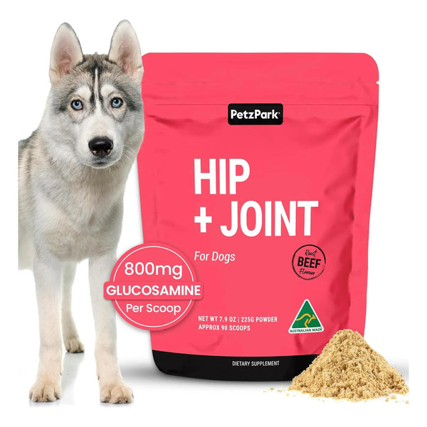 Suplemento Petz Para Articulaciones De Perros Adultos Con Glucosamina Y Condroitina