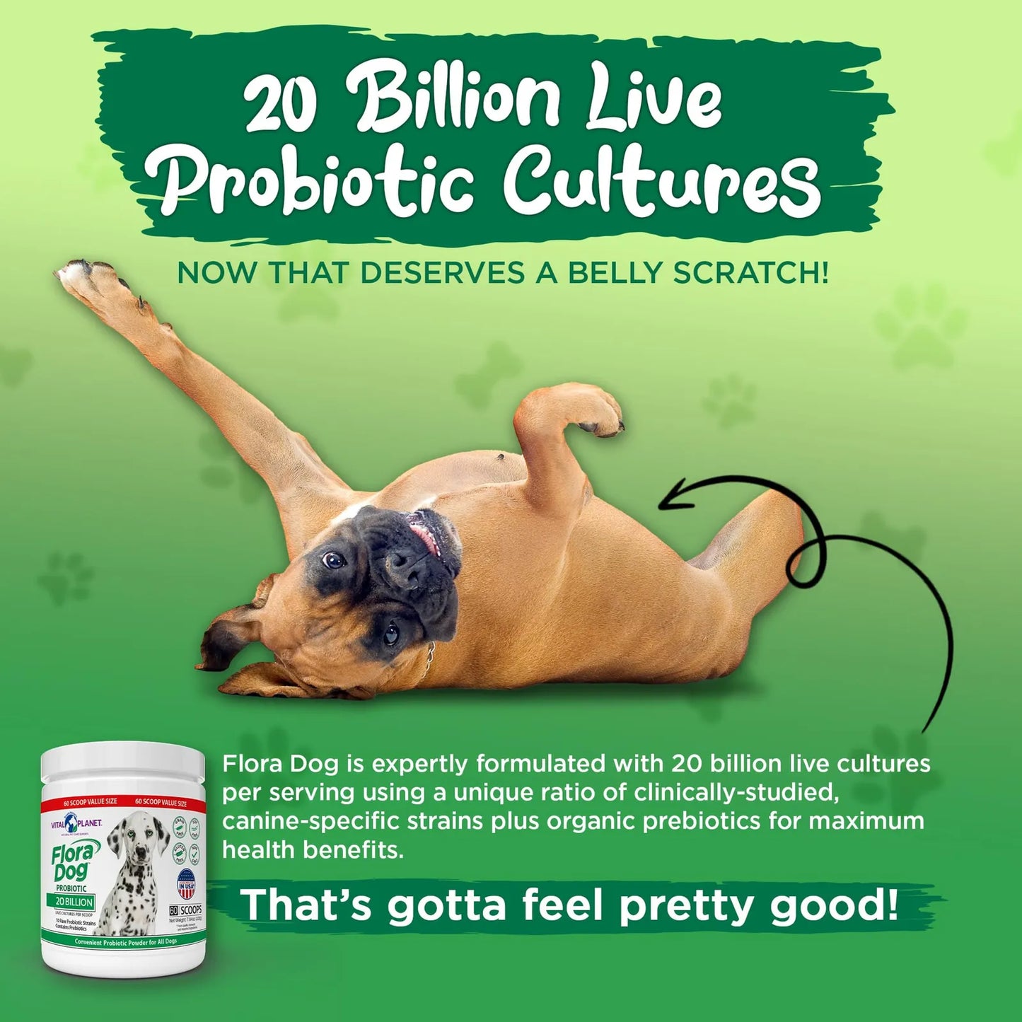 Probiótico En Polvo Para Perros 20 Mil Millones Cultivos 10 Cepas Flora Dog