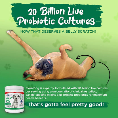 Probiótico En Polvo Para Perros 20 Mil Millones Cultivos 10 Cepas Flora Dog