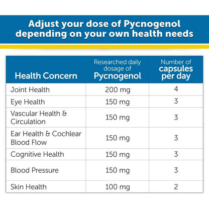 Pycnogenol Grado Clinico 60 Capsulas Antioxidante Salud Integral