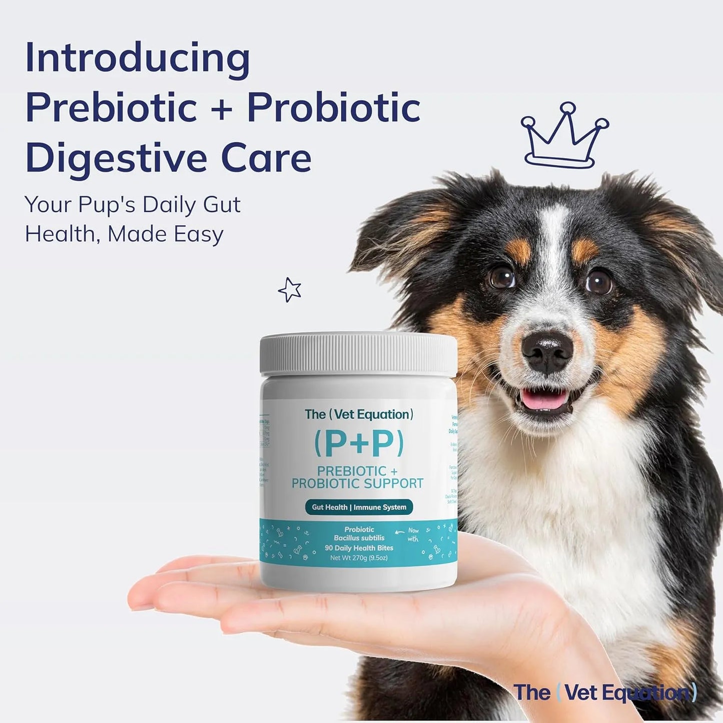 Masticables Naturales Para Perros Salud Digestiva Sabor Pato 90 Unidades