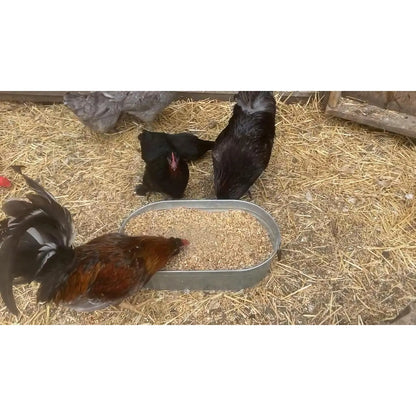 Vitaminas De Pollo Refuerzo De Huevos Aves Corral 680 Gramos Nutricion Premium