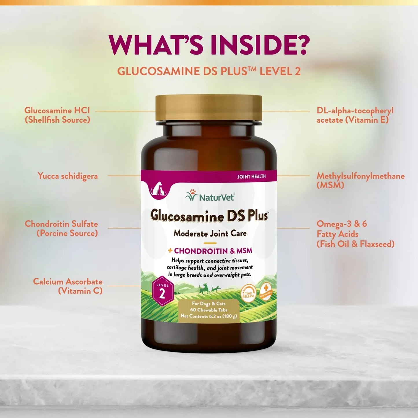 Glucosamine DS Plus Suplemento Articular Para Perros Y Gatos 60 Tabletas Masticables