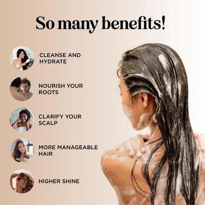 Champú Hidratante Cabello Seco Aminoácidos De Seda Maple Holistics Cabello Fresco Y Manejable
