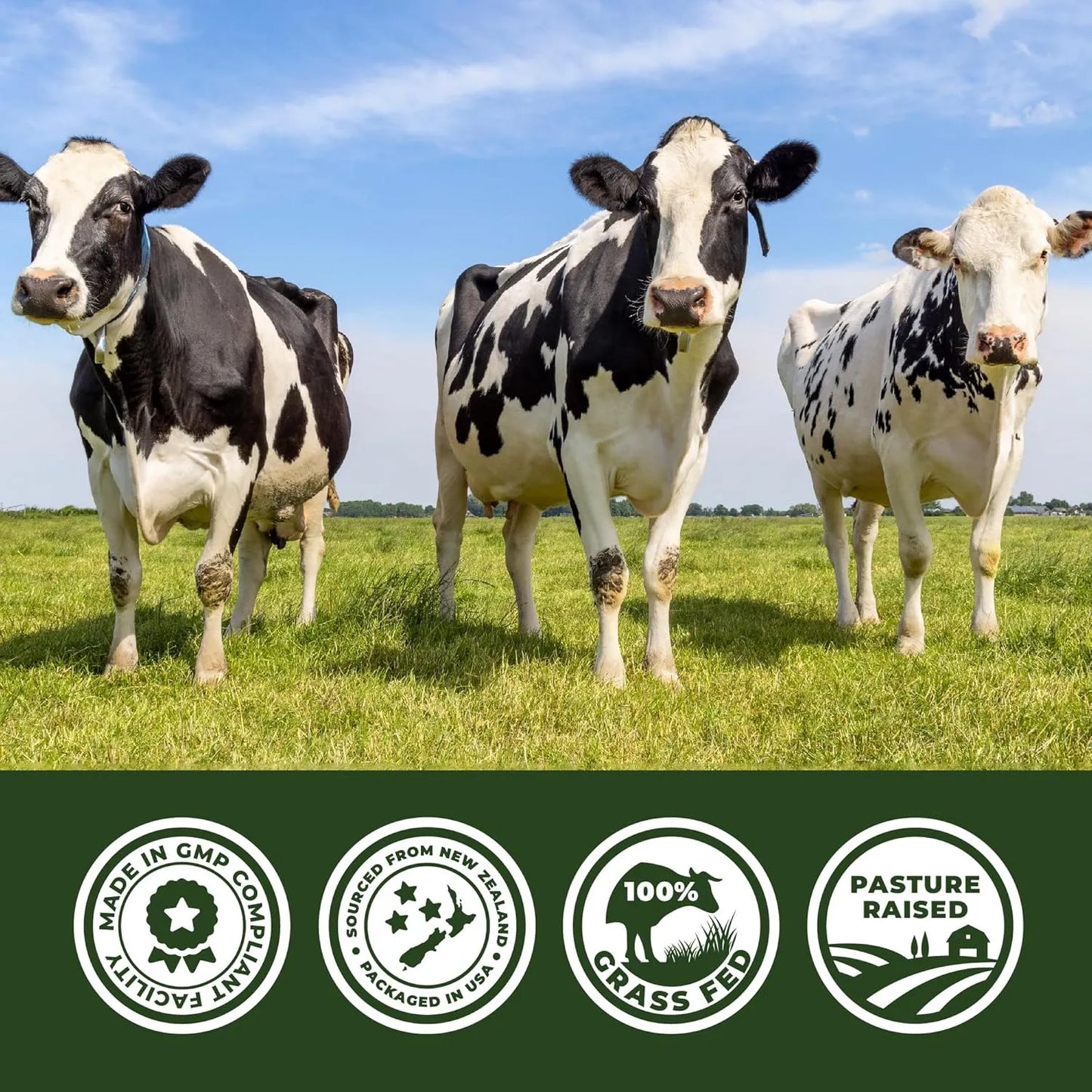 Complejo De 7 Órganos De Res Alimentado Con Pasto Suplemento Nutricional Premium
