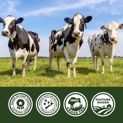 Complejo De 7 Órganos De Res Alimentado Con Pasto Suplemento Nutricional Premium