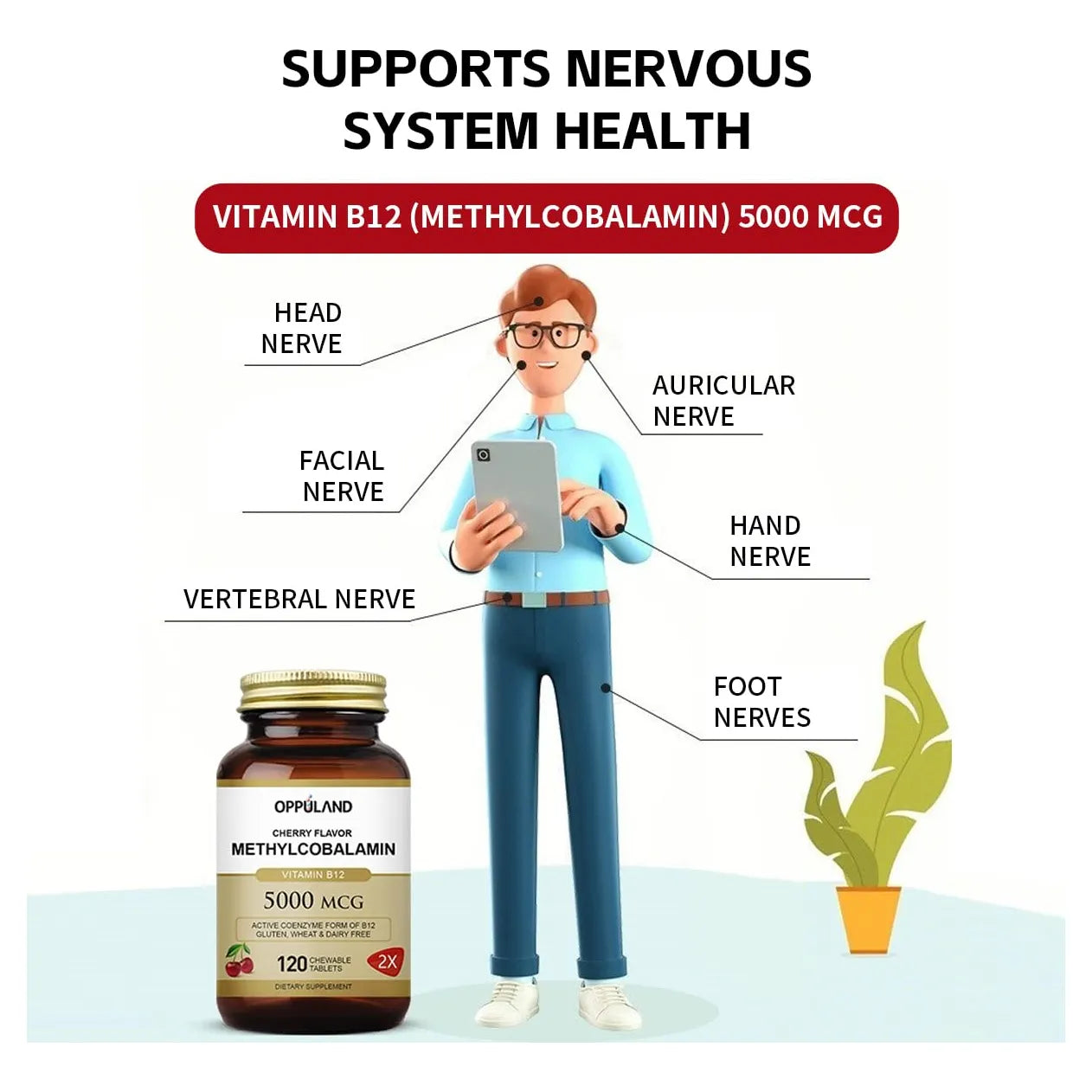 Vitamina B12 Metilcobalamina 5000 Mcg Con Ácido Fólico 120 Tabletas Masticables Sabor Cereza