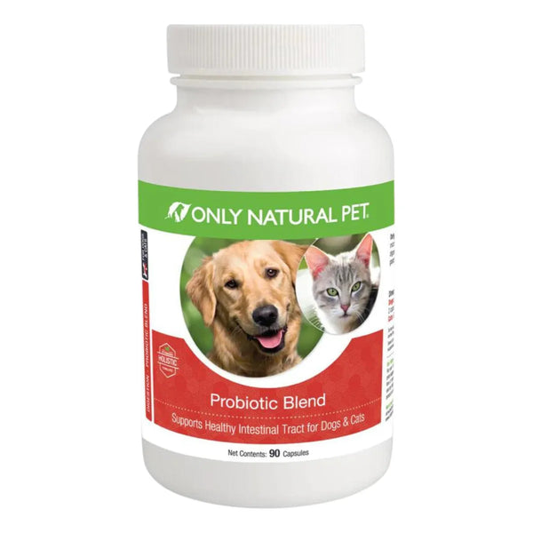 Probiótico Enzimático Para Perros Y Gatos Apoyo Digestivo Salud Intestinal