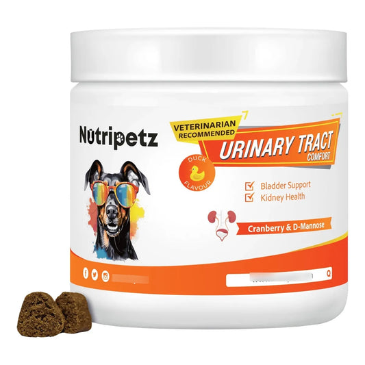 Masticables Urinarios Cómodos Para Perros Con Arándanos Y Hierbas 120 Unidades
