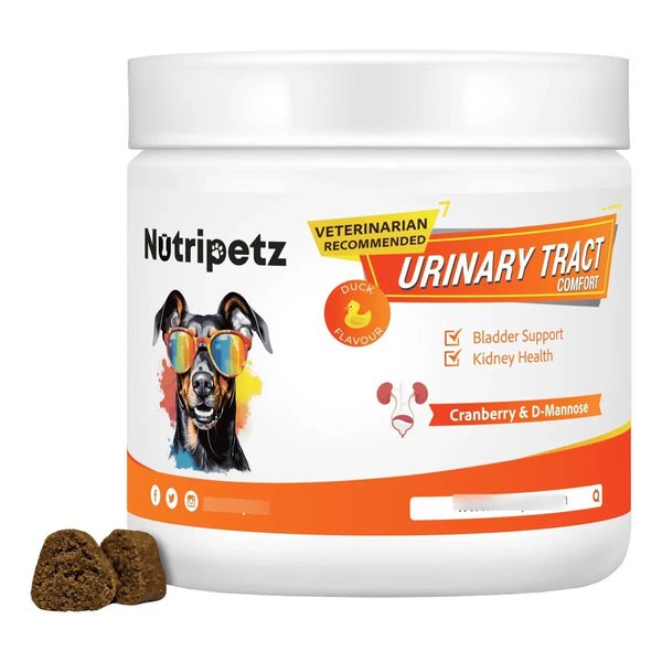 Masticables Urinarios Cómodos Para Perros Con Arándanos Y Hierbas 120 Unidades