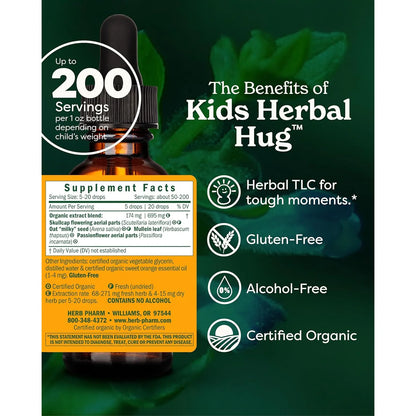 Fórmula Líquida Herbaria Glicerita Infantil Sin Alcohol Herb Pharm 1 Onza