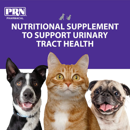 Suplemento Masticable De Arándano Para Perros Y Gatos Salud Urinaria 60 Tabletas