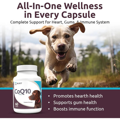 Suplemento CoQ10 Para Perros 30 Mg 60 Capsulas Salud Corazon Y Energia