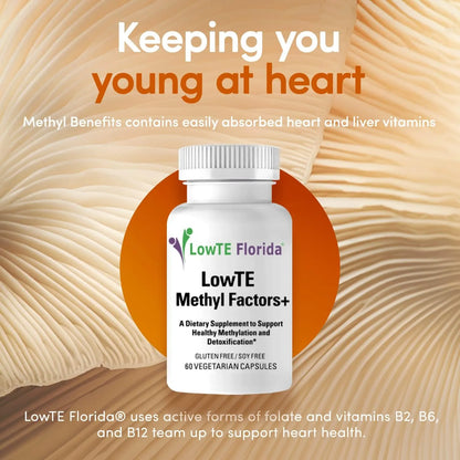 Cápsulas De Methyl Factors Con Vitaminas B Folato Y Riboflavina Suplemento Energizante Y Estimulante Del Estado De Ánimo