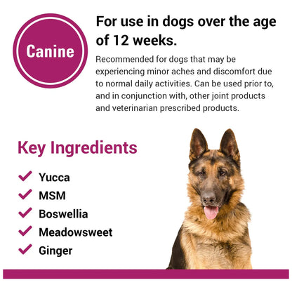 Suplemento Pain Plus Para Perros 120 Masticables Alivia Dolor Articular