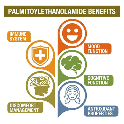 Palmitoiletanolamida 1500 Mg Con Luteolina 98 Y Curcuma Alta Absorcion 60 Tabletas